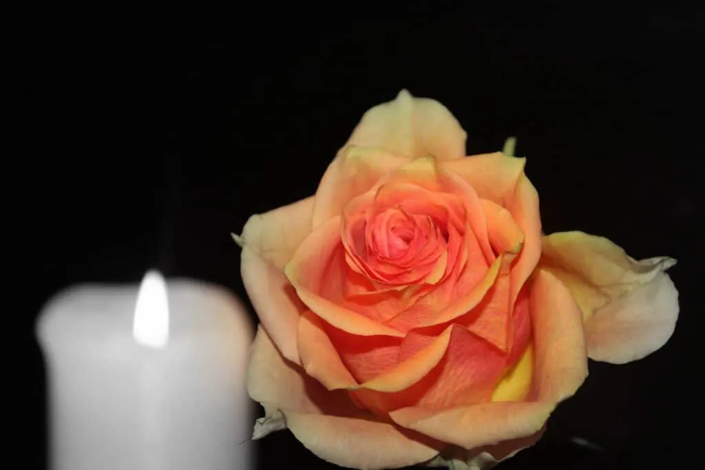Islamische Bestattungen - Orange-rosa Rose mit brennender weißer Kerze im Hintergrund